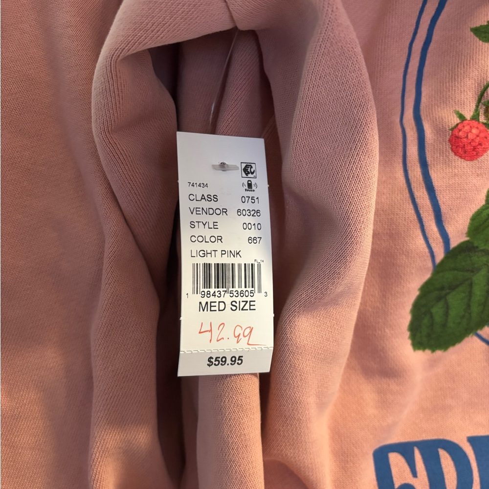 NWT PacSun Fruit Stand Hoodie - Picture 4 of 4